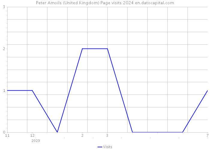 Peter Amoils (United Kingdom) Page visits 2024 