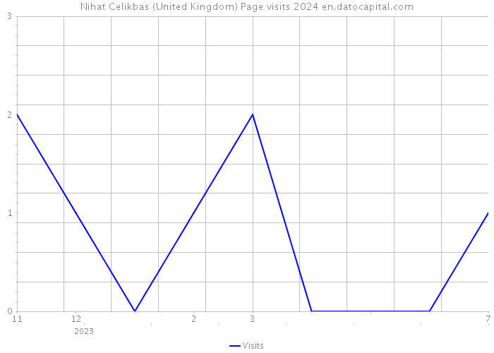 Nihat Celikbas (United Kingdom) Page visits 2024 