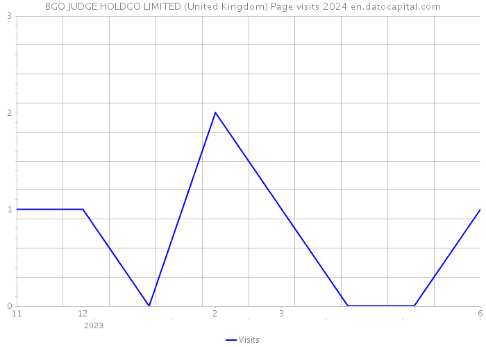 BGO JUDGE HOLDCO LIMITED (United Kingdom) Page visits 2024 