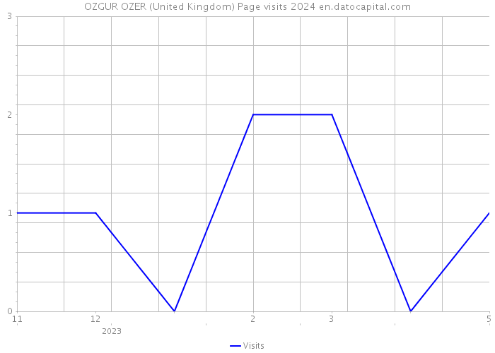 OZGUR OZER (United Kingdom) Page visits 2024 