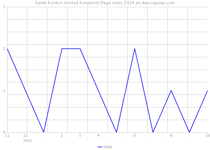 Kamil Konkol (United Kingdom) Page visits 2024 