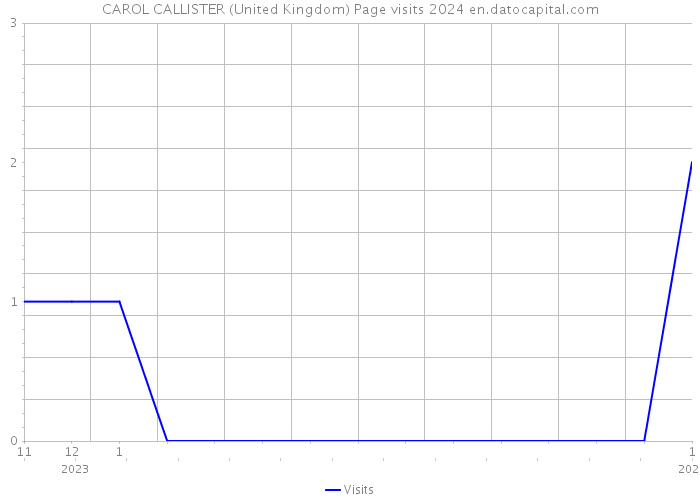 CAROL CALLISTER (United Kingdom) Page visits 2024 