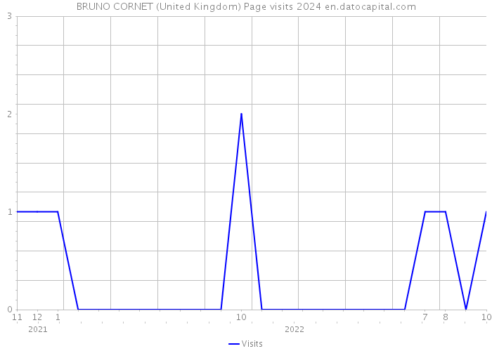 BRUNO CORNET (United Kingdom) Page visits 2024 