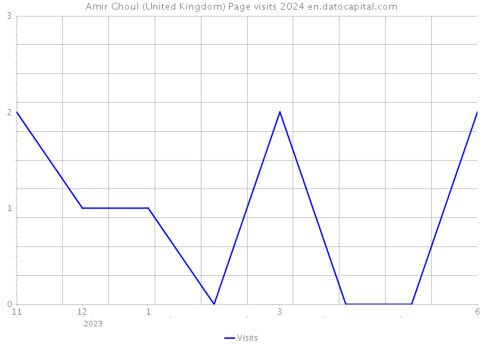 Amir Ghoul (United Kingdom) Page visits 2024 