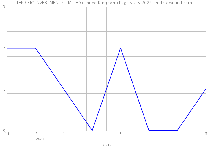 TERRIFIC INVESTMENTS LIMITED (United Kingdom) Page visits 2024 
