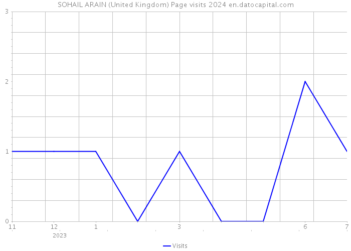 SOHAIL ARAIN (United Kingdom) Page visits 2024 