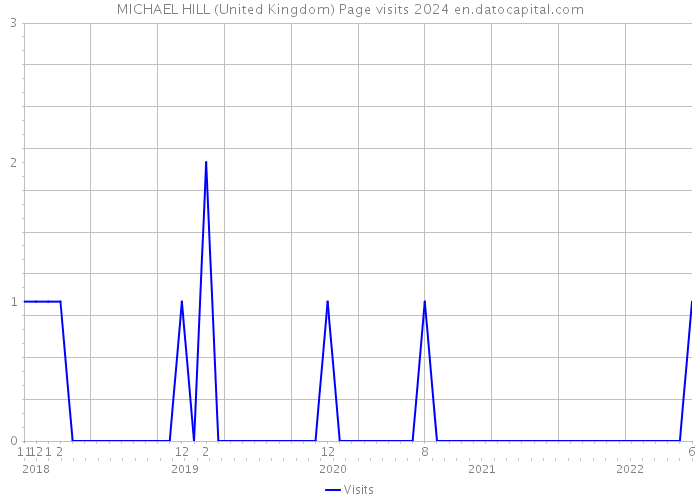 MICHAEL HILL (United Kingdom) Page visits 2024 