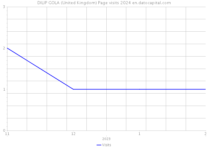 DILIP GOLA (United Kingdom) Page visits 2024 