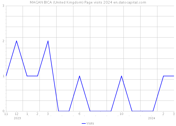 MAGAN BICA (United Kingdom) Page visits 2024 