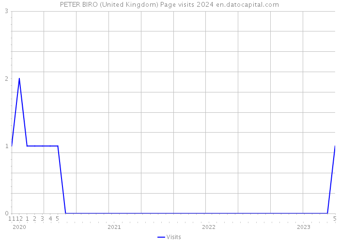 PETER BIRO (United Kingdom) Page visits 2024 