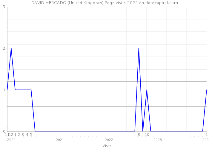 DAVID MERCADO (United Kingdom) Page visits 2024 