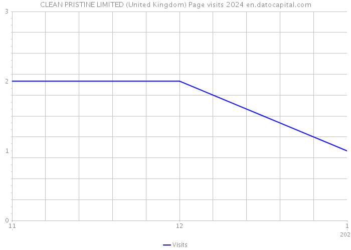 CLEAN PRISTINE LIMITED (United Kingdom) Page visits 2024 