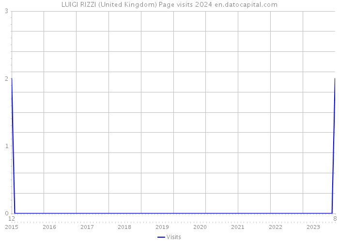 LUIGI RIZZI (United Kingdom) Page visits 2024 