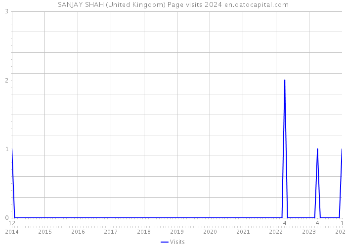 SANJAY SHAH (United Kingdom) Page visits 2024 