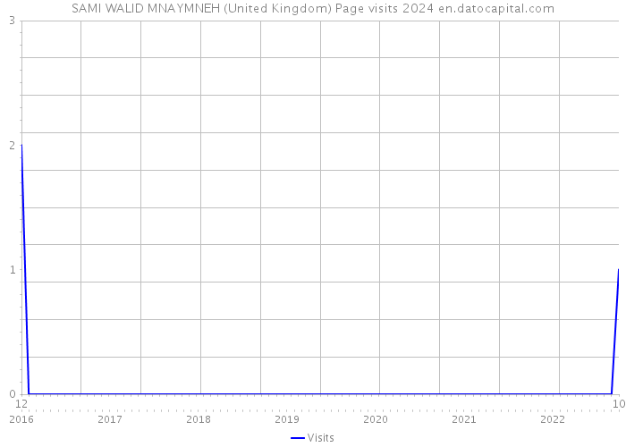 SAMI WALID MNAYMNEH (United Kingdom) Page visits 2024 