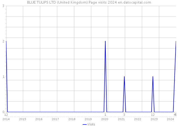 BLUE TULIPS LTD (United Kingdom) Page visits 2024 