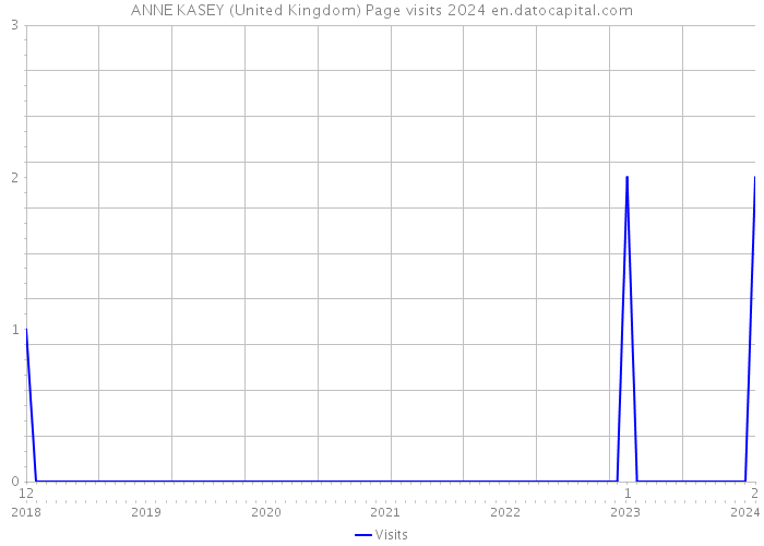 ANNE KASEY (United Kingdom) Page visits 2024 