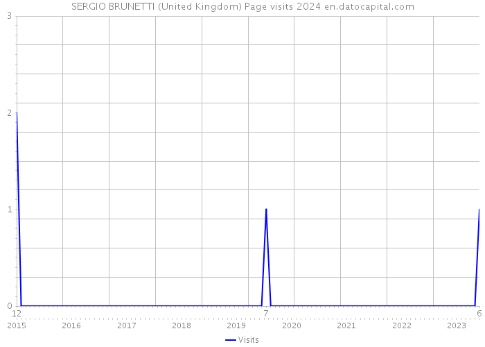 SERGIO BRUNETTI (United Kingdom) Page visits 2024 