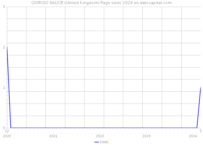GIORGIO SALICE (United Kingdom) Page visits 2024 