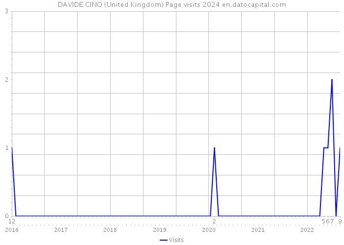 DAVIDE CINO (United Kingdom) Page visits 2024 
