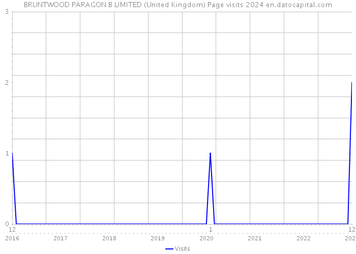 BRUNTWOOD PARAGON B LIMITED (United Kingdom) Page visits 2024 