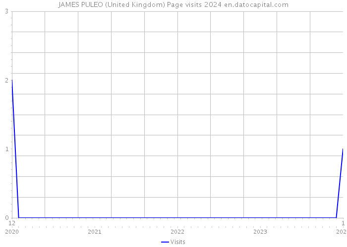 JAMES PULEO (United Kingdom) Page visits 2024 