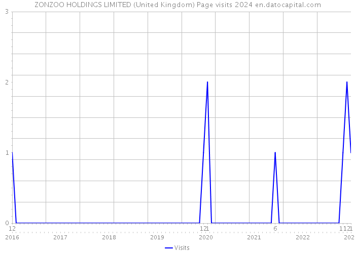 ZONZOO HOLDINGS LIMITED (United Kingdom) Page visits 2024 