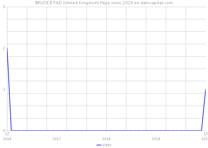 BRUCE E FAD (United Kingdom) Page visits 2024 