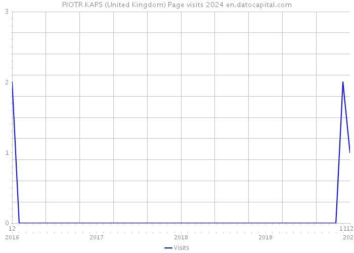 PIOTR KAPS (United Kingdom) Page visits 2024 