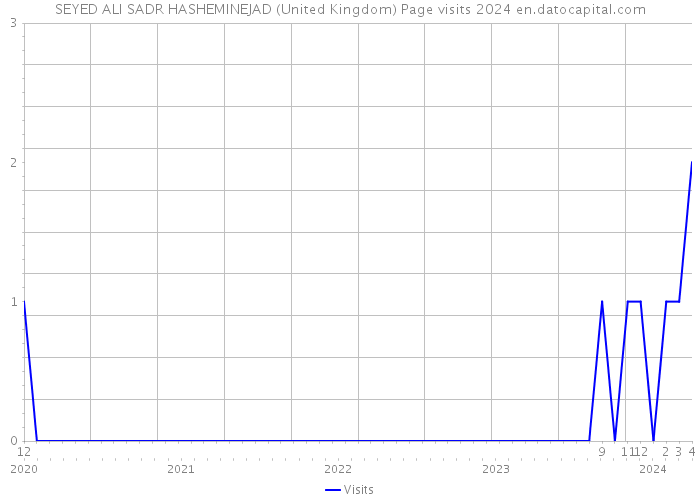 SEYED ALI SADR HASHEMINEJAD (United Kingdom) Page visits 2024 