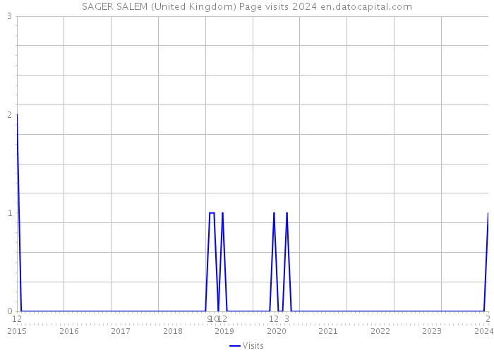 SAGER SALEM (United Kingdom) Page visits 2024 