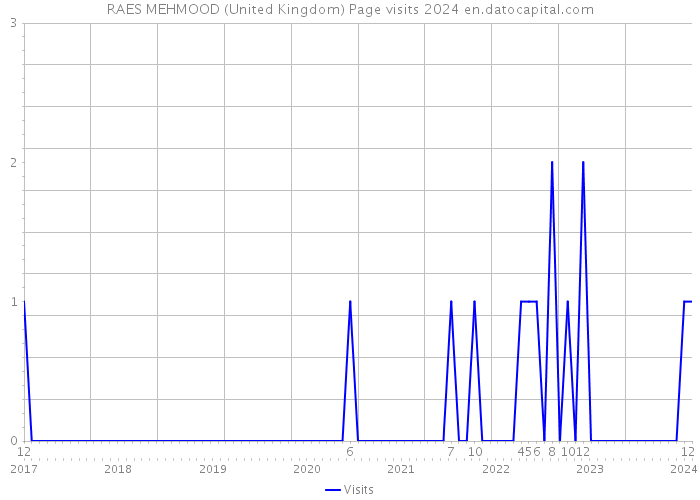 RAES MEHMOOD (United Kingdom) Page visits 2024 