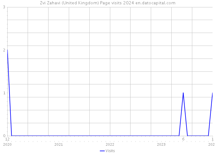 Zvi Zahavi (United Kingdom) Page visits 2024 