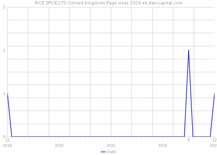 RICE SPICE LTD (United Kingdom) Page visits 2024 