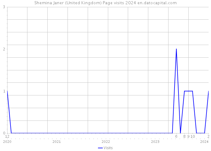Shemina Janer (United Kingdom) Page visits 2024 