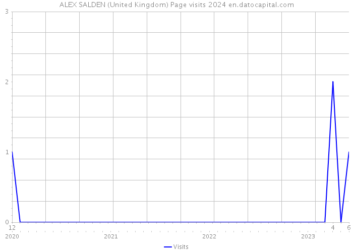 ALEX SALDEN (United Kingdom) Page visits 2024 