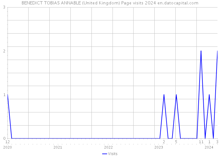 BENEDICT TOBIAS ANNABLE (United Kingdom) Page visits 2024 