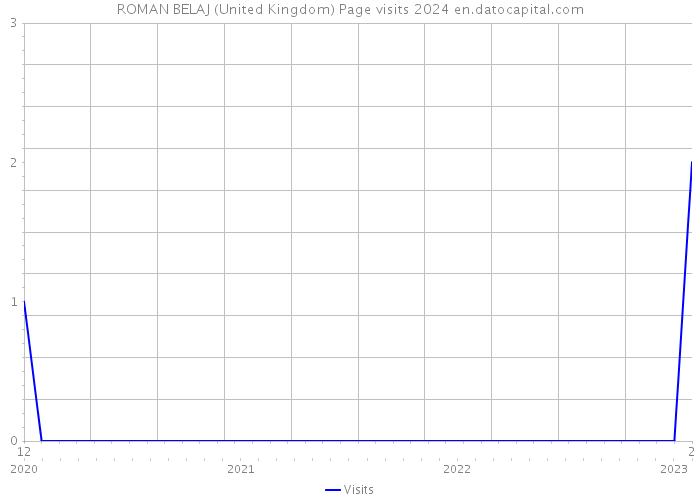 ROMAN BELAJ (United Kingdom) Page visits 2024 