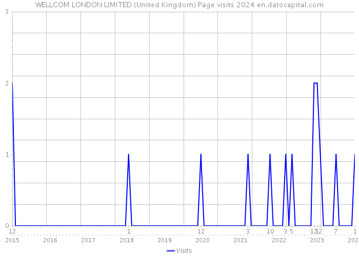 WELLCOM LONDON LIMITED (United Kingdom) Page visits 2024 
