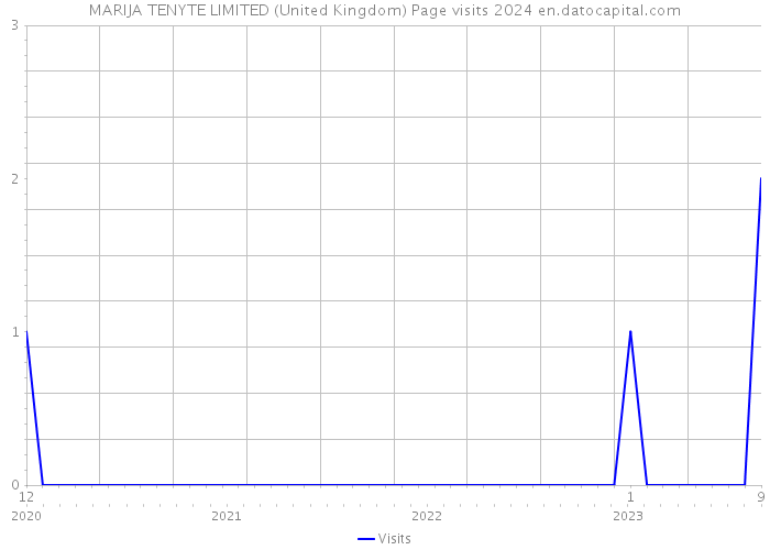 MARIJA TENYTE LIMITED (United Kingdom) Page visits 2024 