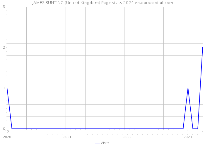 JAMES BUNTING (United Kingdom) Page visits 2024 