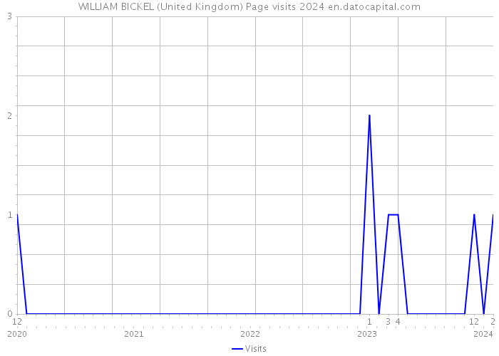 WILLIAM BICKEL (United Kingdom) Page visits 2024 