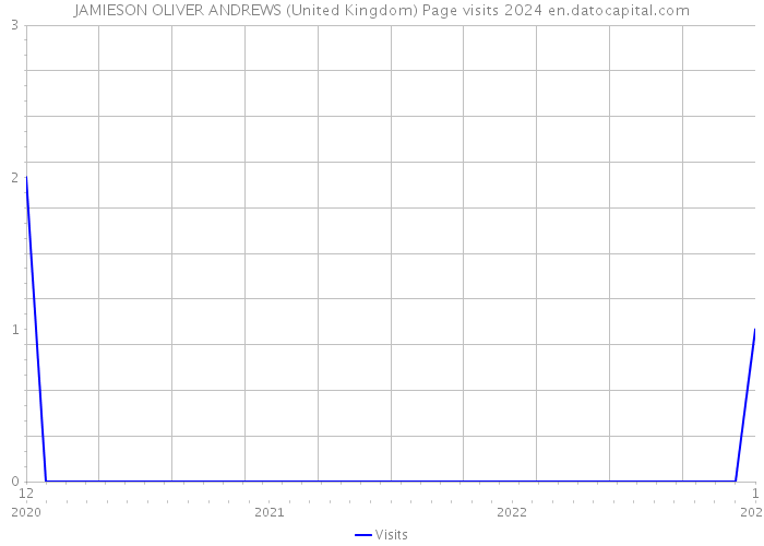 JAMIESON OLIVER ANDREWS (United Kingdom) Page visits 2024 