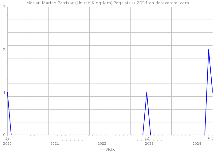 Marian Marian Petrisor (United Kingdom) Page visits 2024 