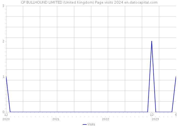 GP BULLHOUND LIMITED (United Kingdom) Page visits 2024 