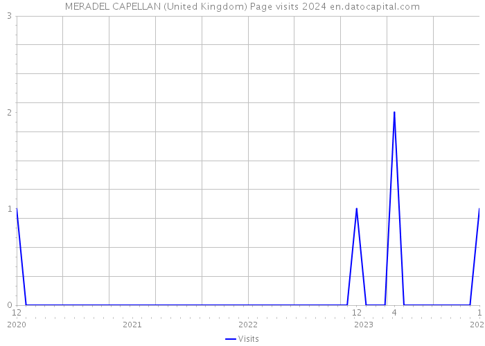 MERADEL CAPELLAN (United Kingdom) Page visits 2024 