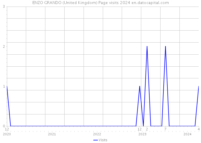 ENZO GRANDO (United Kingdom) Page visits 2024 