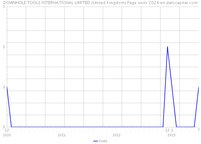 DOWNHOLE TOOLS INTERNATIONAL LIMITED (United Kingdom) Page visits 2024 