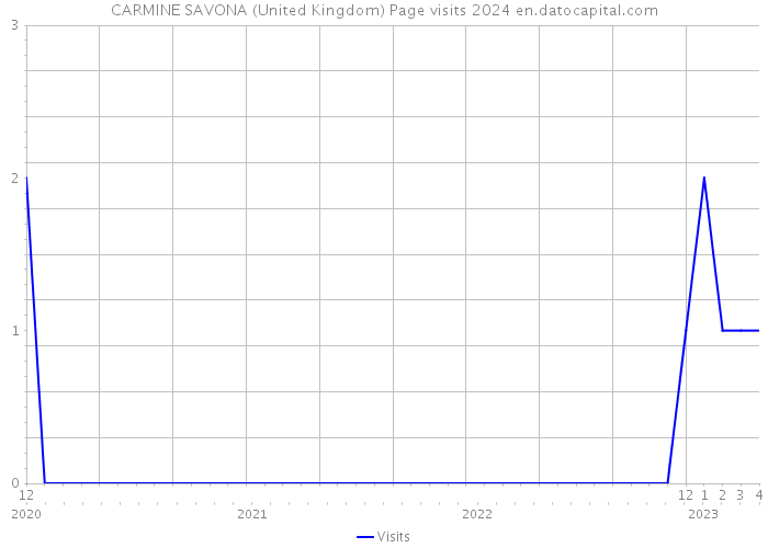 CARMINE SAVONA (United Kingdom) Page visits 2024 