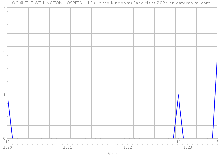 LOC @ THE WELLINGTON HOSPITAL LLP (United Kingdom) Page visits 2024 